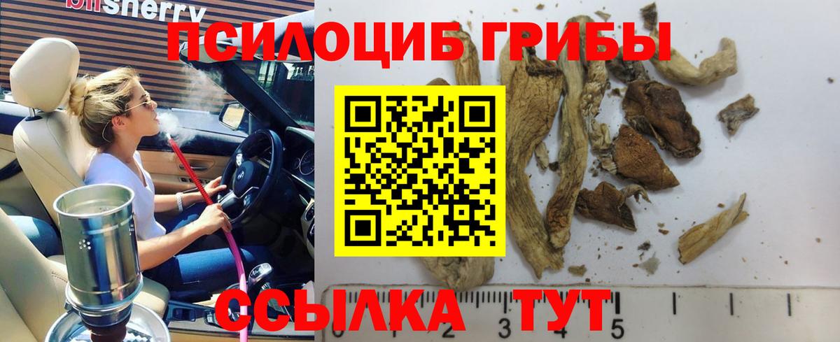 Галлюциногенные грибы мицелий  Галлюциногенные грибы Magic Shrooms  Вход с VPN  Малгобек 